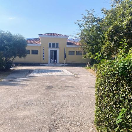 Captain'S Beach Apartments Limenas  Esterno foto